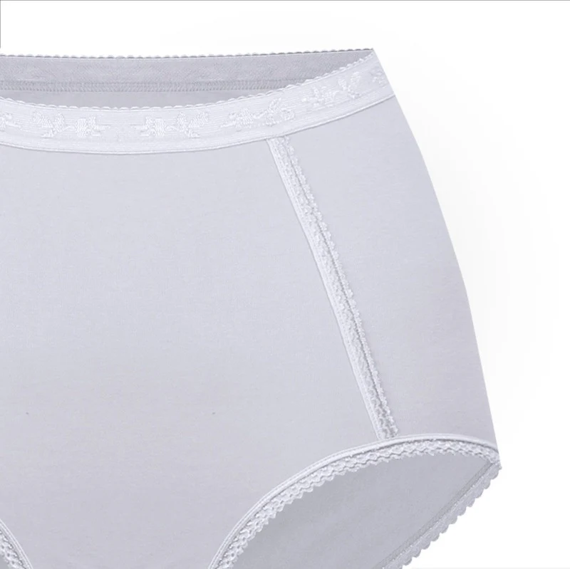 Ladies Basic High Waist Full Back Cover Panty - Image 11