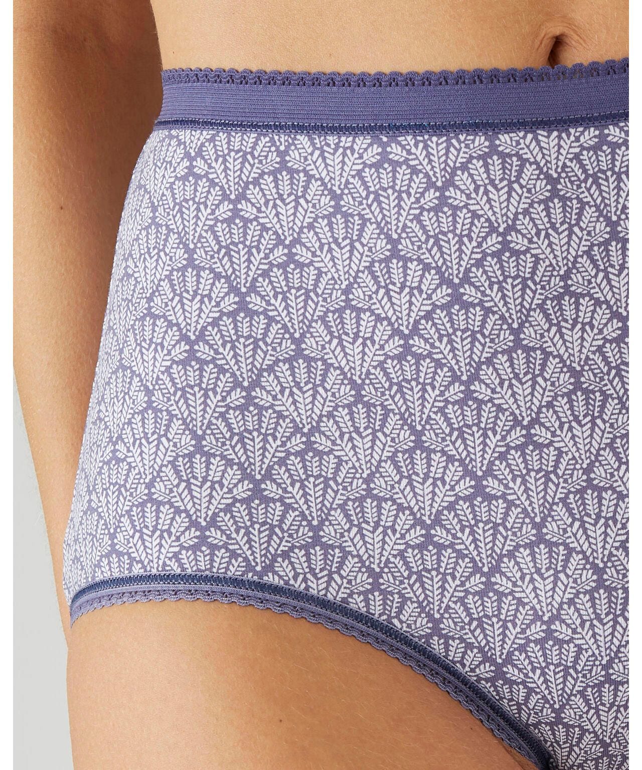 Pack of 4 Ladies High Waisted Full Back Cover Printed Brief Panty - Image 3
