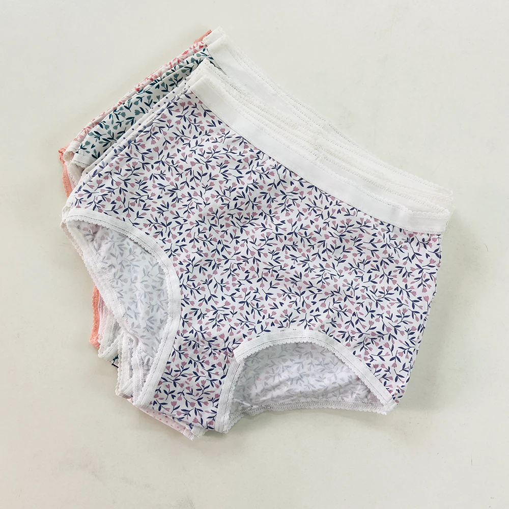 Pack of 4 Ladies High Waisted Full Back Cover Printed Brief Panty - Image 4