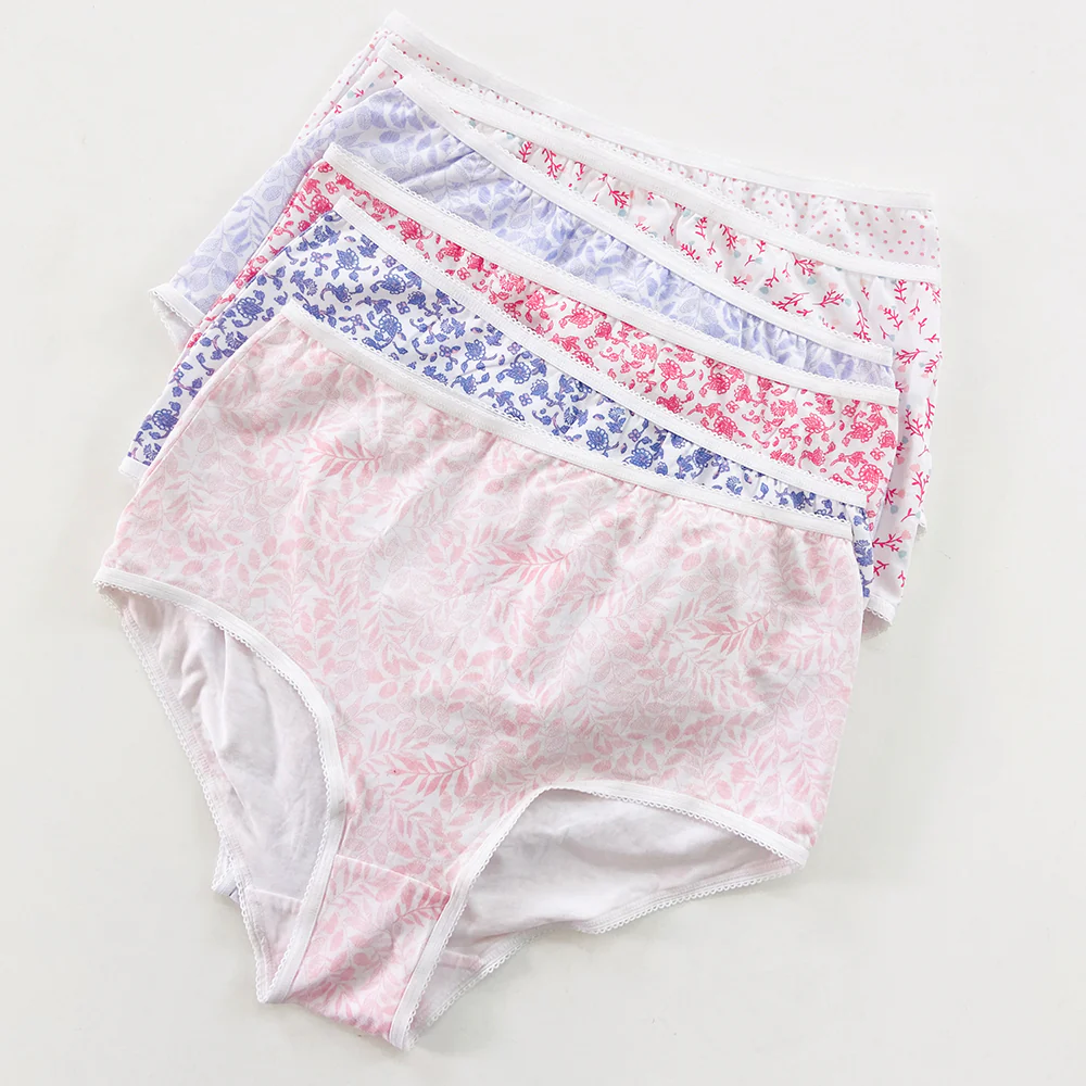 Pack of 4 Ladies High Waisted Full Back Coverage Printed Brief Panty - Image 4