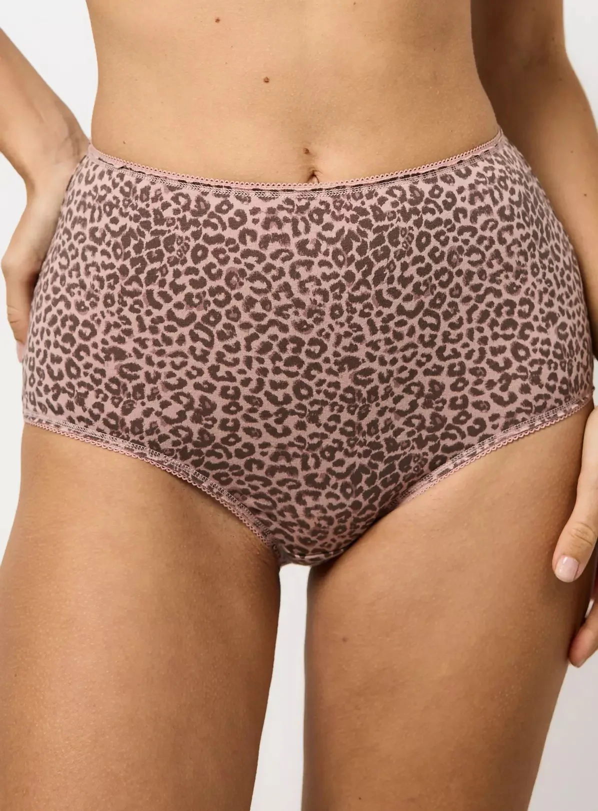Pack of 5 Womens Assorted High Waisted Full Back Cover Cotton Panties - Image 3