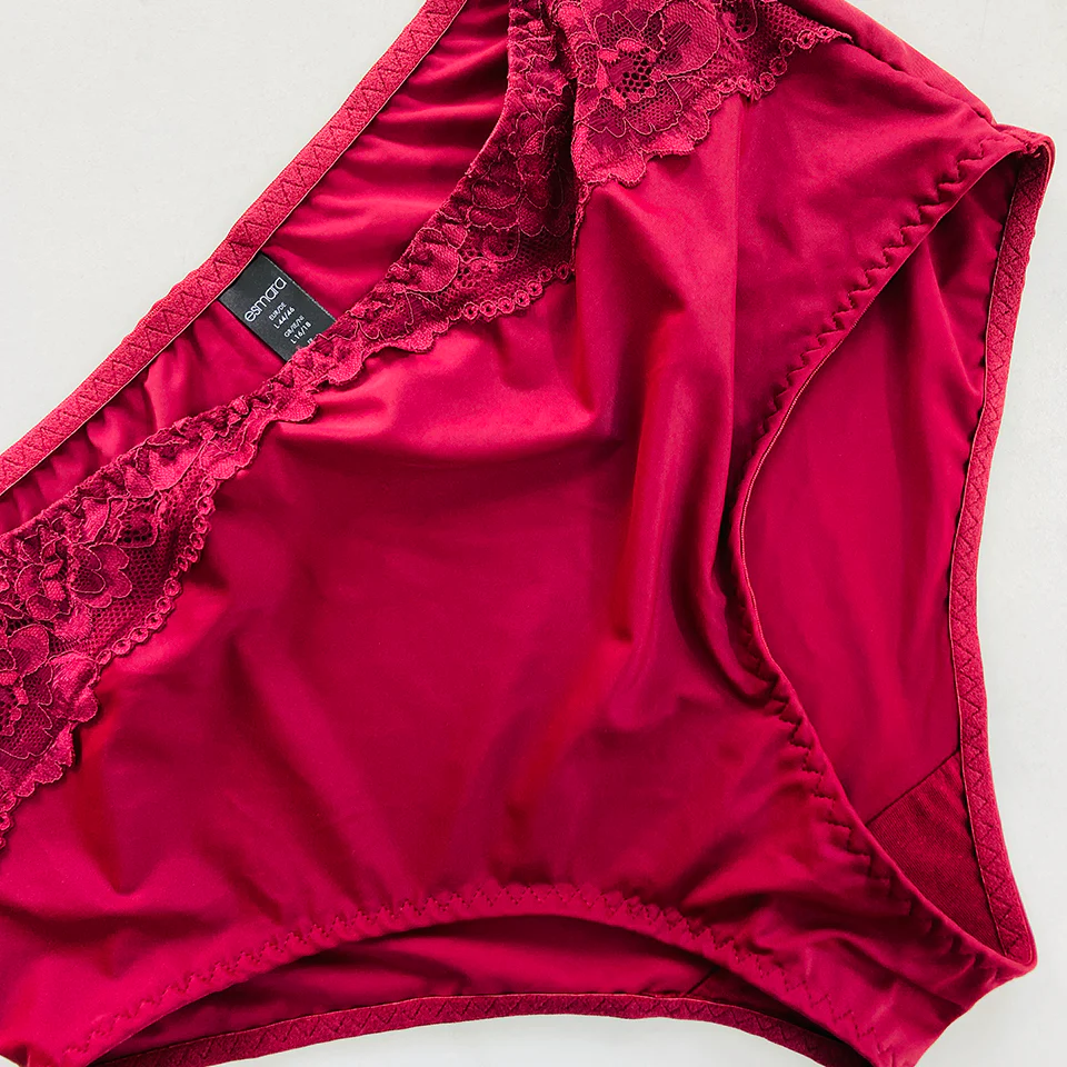Womens Premium High Waisted Lace Full Back Cover Panty - Image 11