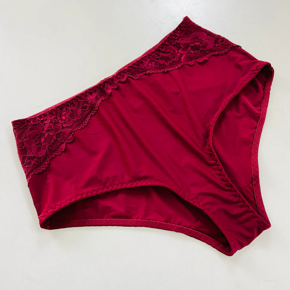 Womens Premium High Waisted Lace Full Back Cover Panty - Image 20