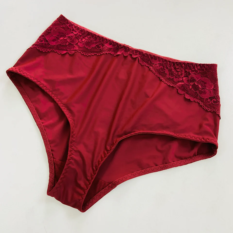Womens Premium High Waisted Lace Full Back Cover Panty - Image 21