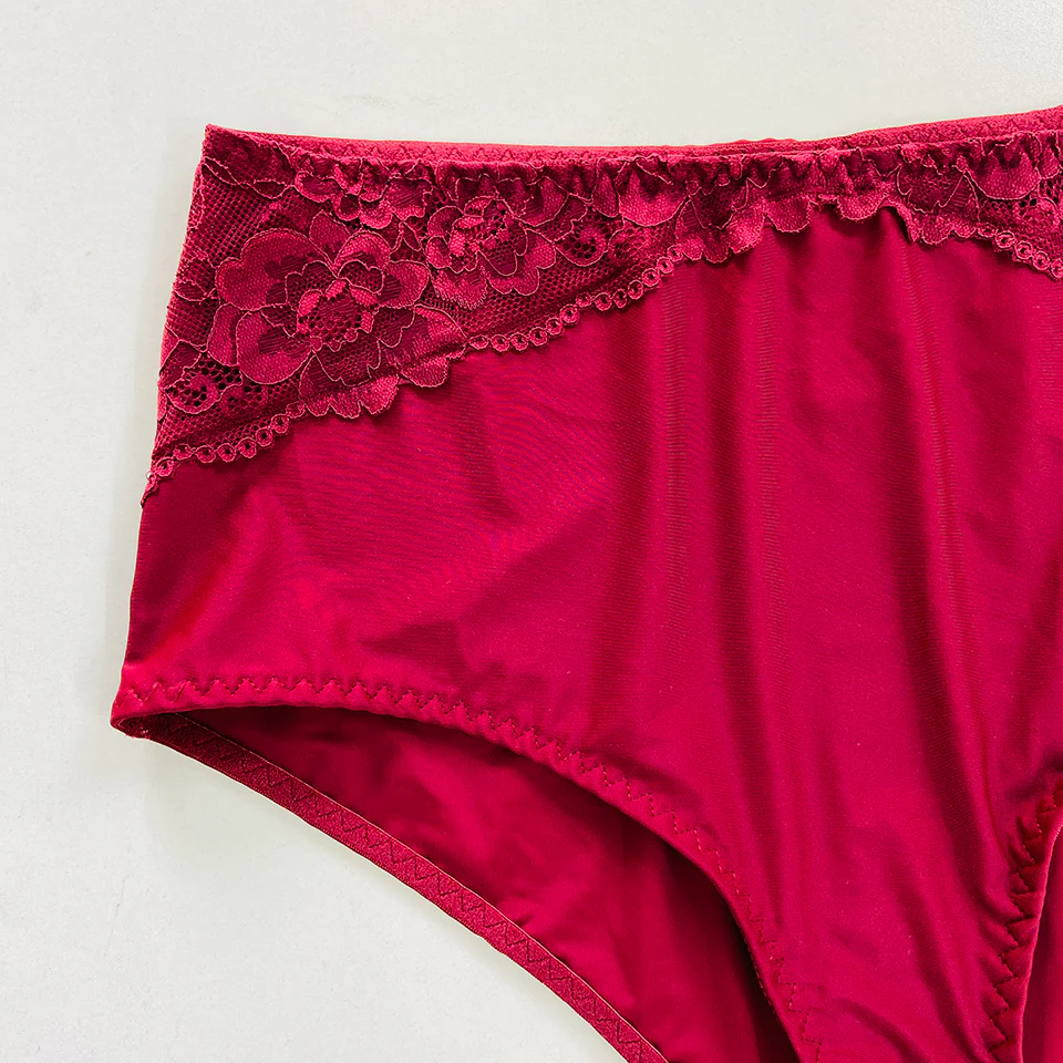 Womens Premium High Waisted Lace Full Back Cover Panty - Image 5